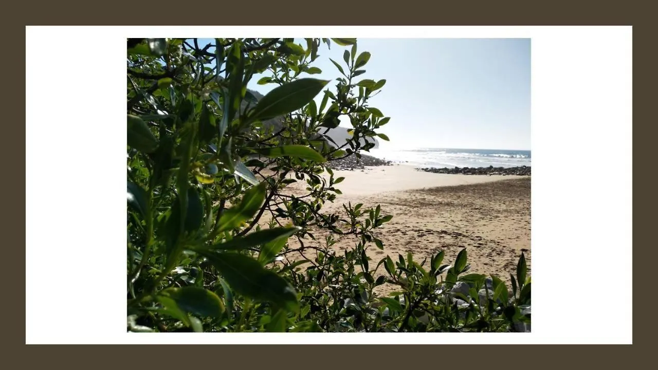 Holiday home Buzio Villa Vila do Bispo