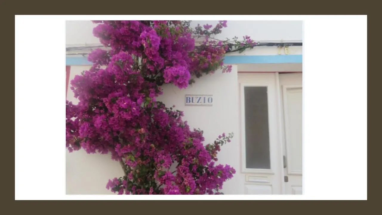 Holiday home Buzio Villa Vila do Bispo